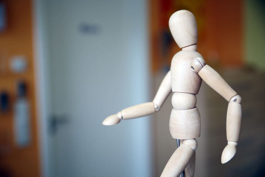 Anatomisches Modell in der Praxis